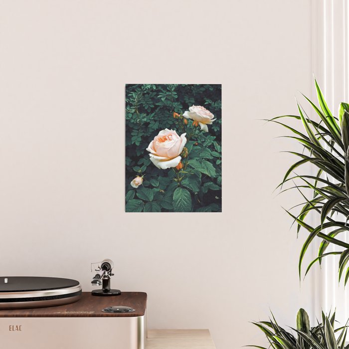 Dark Garden Poster Gallery Image 2