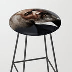 Frederick Douglass, African American Civil Rights Pioneer portrait painting Stool Gallery Image 2