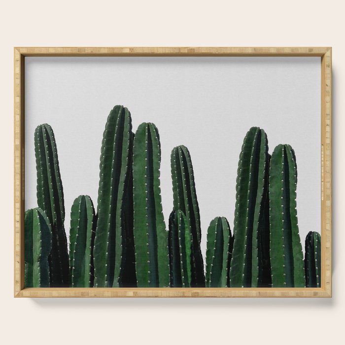 Cactus I Serving Tray Gallery Image 1