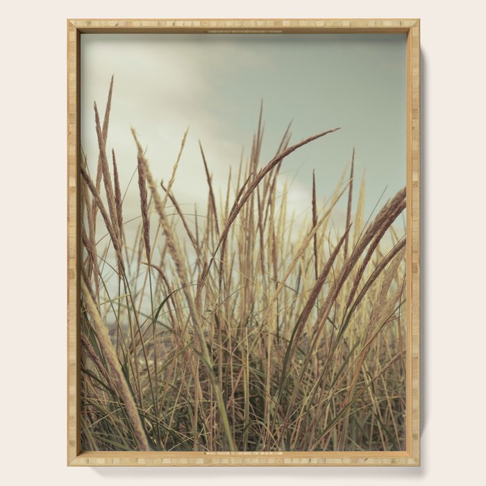 autumn dune grass Serving Tray Gallery Image 1