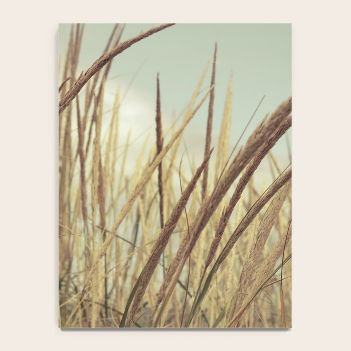autumn dune grass Notebook Gallery Image 4