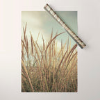 autumn dune grass Wrapping Paper Gallery Image 1