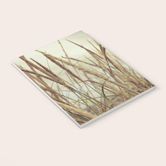 autumn dune grass Notebook Gallery Image 3
