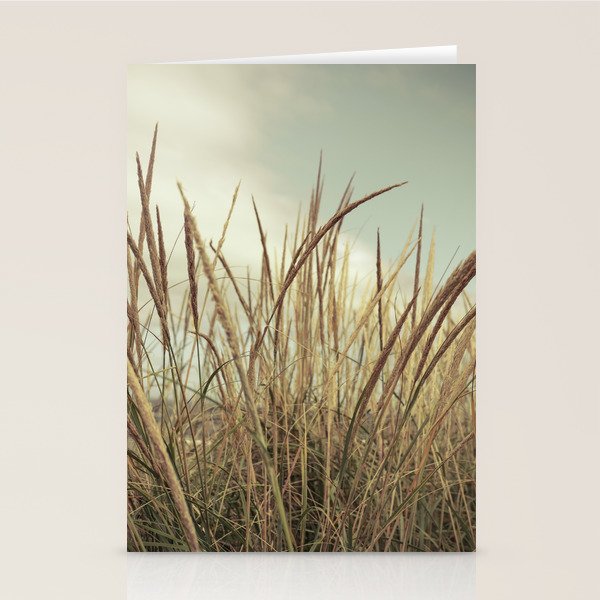 autumn dune grass Stationery Card Gallery Image 1