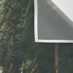 Mckenzie River Wall Tapestry Gallery Image 3