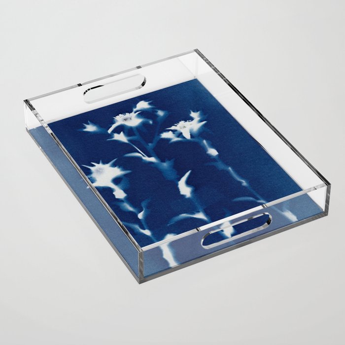 Magic in the Ordinary #1 Acrylic Tray Gallery Image 1