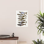 Line Fish Poster Gallery Image 2