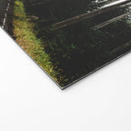 Foggy Forest Road - Pacific Northwest Travel Welcome Mat Gallery Image 2