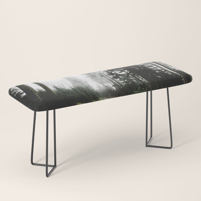 Foggy Forest Road - Pacific Northwest Travel Bench Gallery Image 1