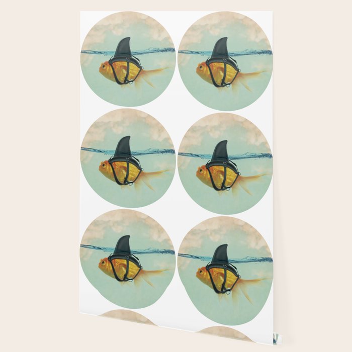 Brilliant DISGUISE - Goldfish with a Shark Fin Wallpaper Gallery Image 2