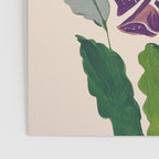 Contemporary Botanical Garden Foxglove in Bloom Poster Gallery Image 3