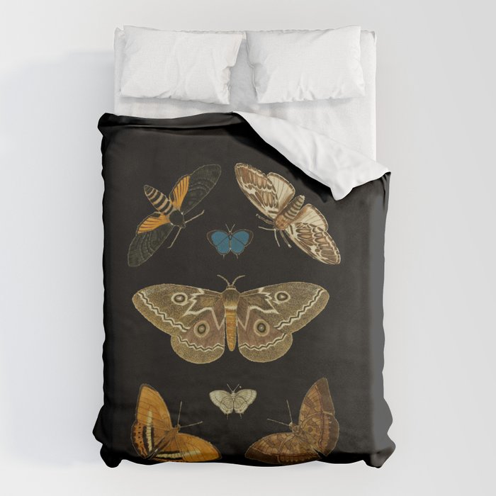 Moths Butterflies In Darkness Vintage Scientific Illustration Encyclopedia Diagram Duvet Cover Gallery Image 6