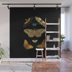 Moths Butterflies In Darkness Vintage Scientific Illustration Encyclopedia Diagram Wall Mural Gallery Image 1