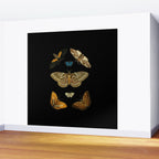 Moths Butterflies In Darkness Vintage Scientific Illustration Encyclopedia Diagram Wall Mural Gallery Image 2