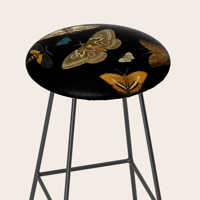 Moths Butterflies In Darkness Vintage Scientific Illustration Encyclopedia Diagram Stool Gallery Image 2