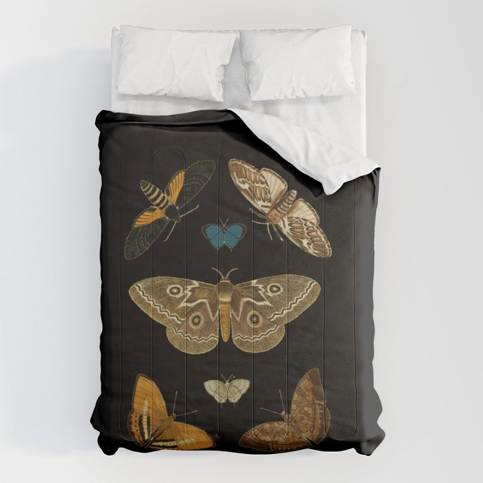 Moths Butterflies In Darkness Vintage Scientific Illustration Encyclopedia Diagram Comforter Gallery Image 6
