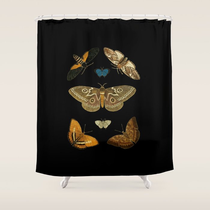 Moths Butterflies In Darkness Vintage Scientific Illustration Encyclopedia Diagram Shower Curtain Gallery Image 1
