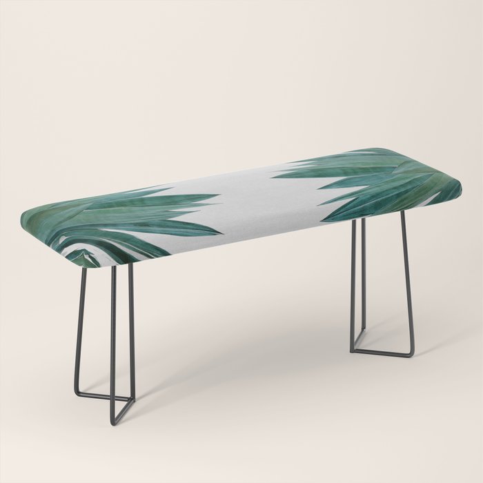 Agave Cactus Bench Gallery Image 1