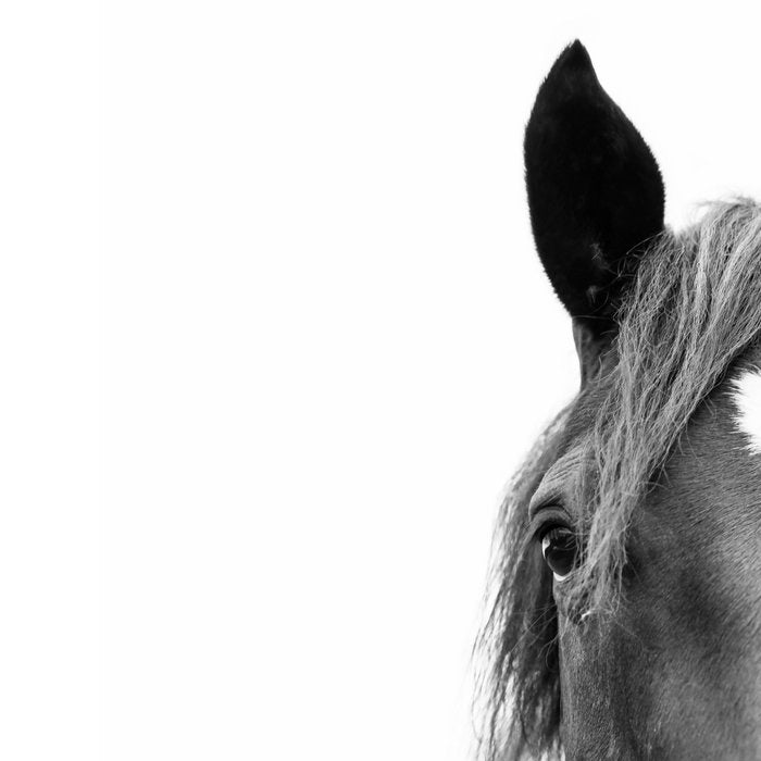 Peeking Horse Coffee Mug Gallery Image 2