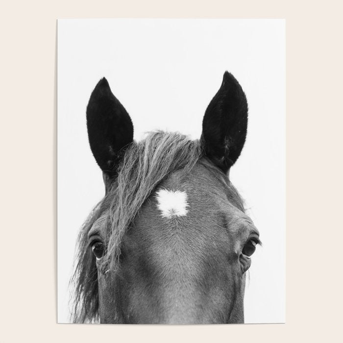 Peeking Horse Poster Gallery Image 4