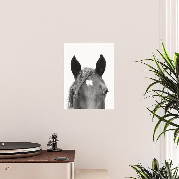 Peeking Horse Poster Gallery Image 2