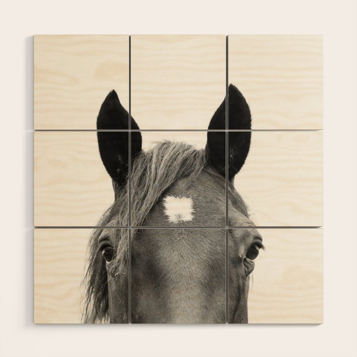 Peeking Horse Wood Wall Art Gallery Image 1