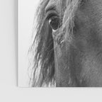 Peeking Horse Poster Gallery Image 3
