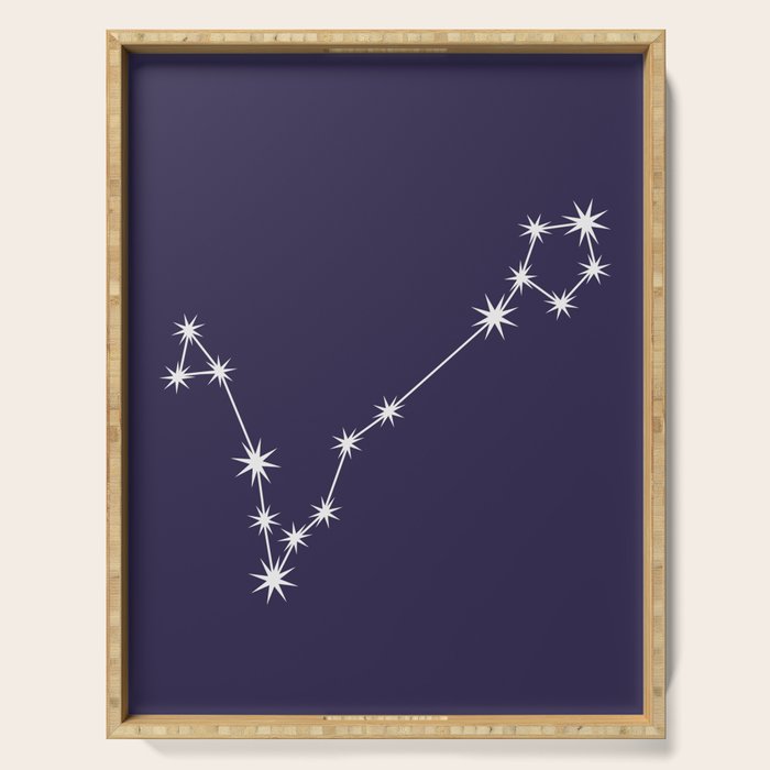 Pisces Zodiac Star Constellation Line Art Dark Purple Serving Tray Gallery Image 1