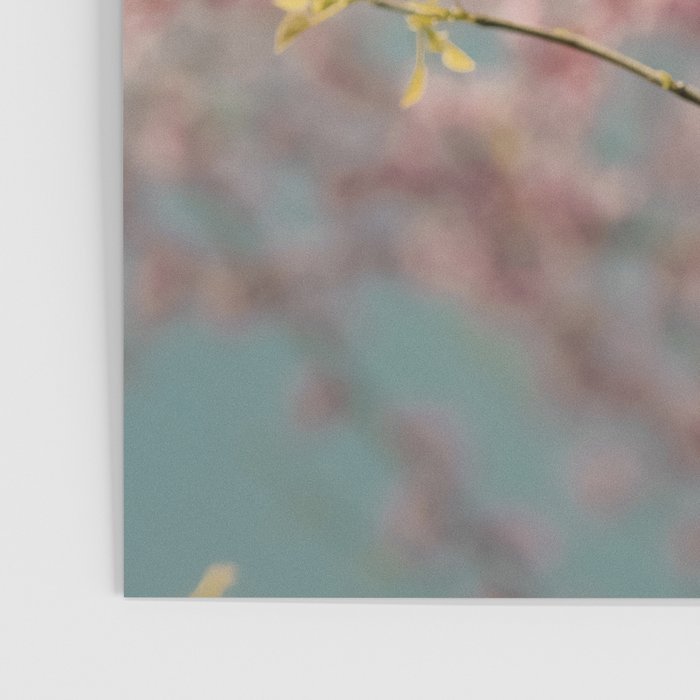 Pink Flower Abstract - redbud tree spring art Poster Gallery Image 3