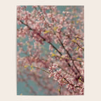 Pink Flower Abstract - redbud tree spring art Poster Gallery Image 4