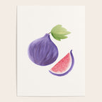 Fig - Fruit Watercolor Painting Poster Gallery Image 4