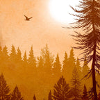 Morning Mountain Mist 1 Coffee Mug Gallery Image 2
