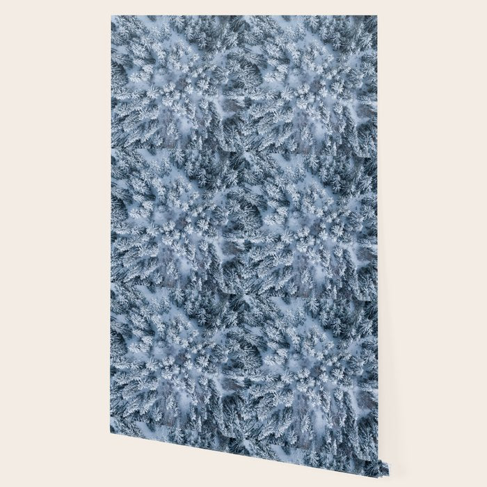 Winter Pine Forest Wallpaper Gallery Image 2