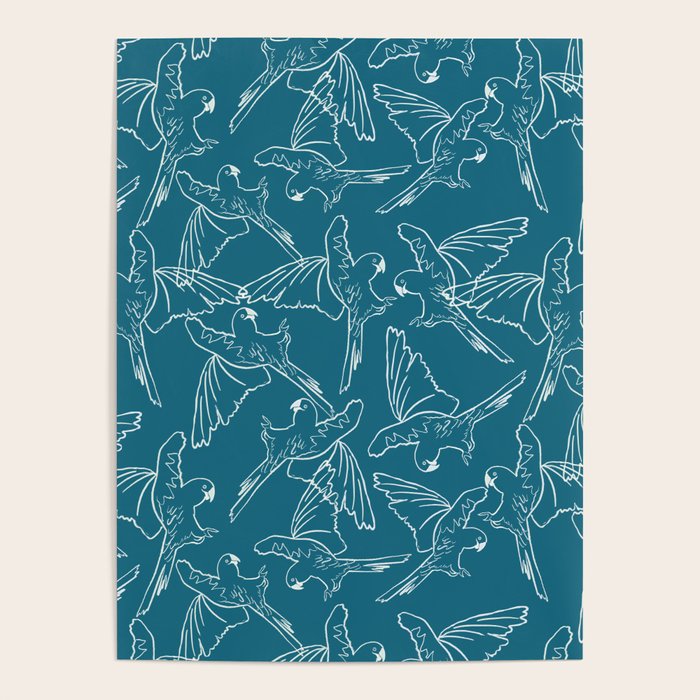 Little Blue Macaws Poster Gallery Image 1