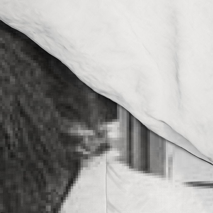 Space Chimp Lives - NASA Moon Flight black and white photograph Comforter Gallery Image 4