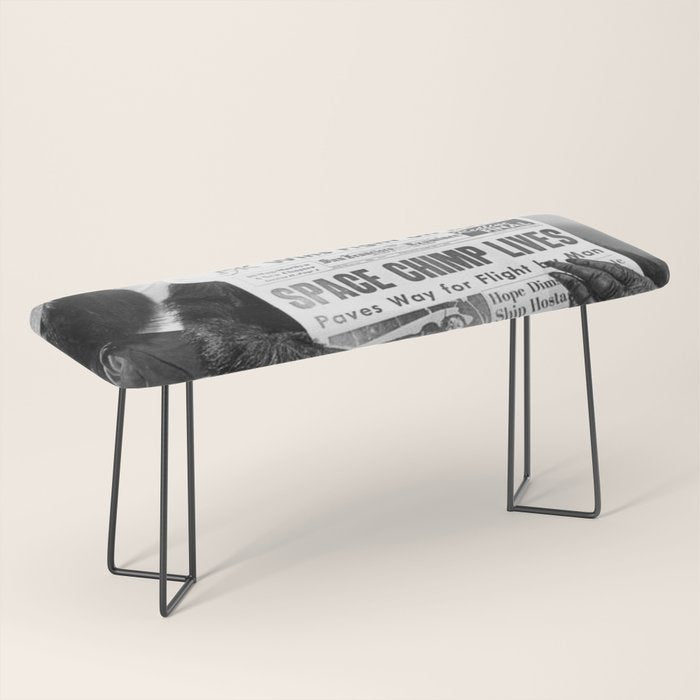 Space Chimp Lives - NASA Moon Flight black and white photograph Bench Gallery Image 1