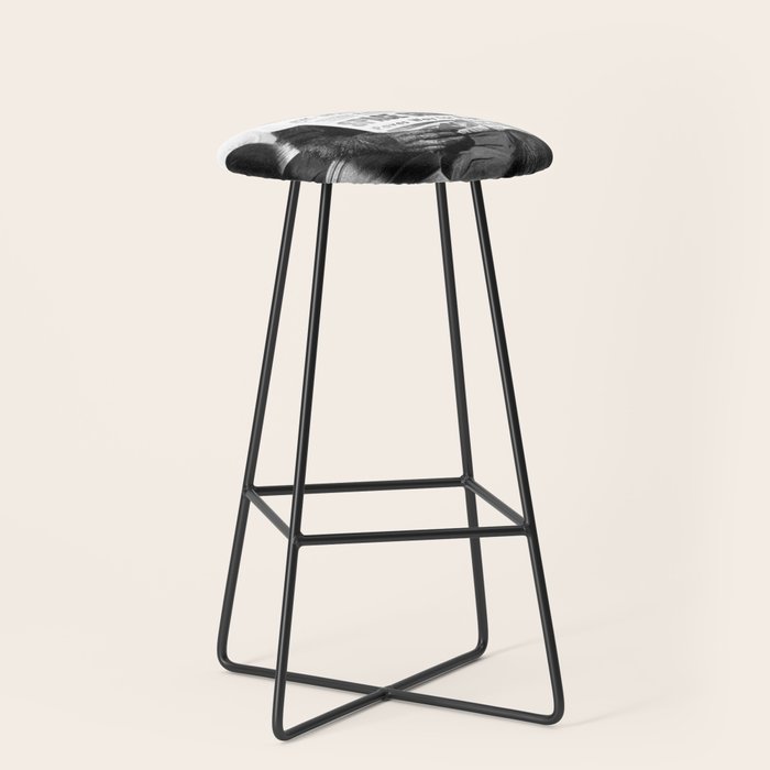 Space Chimp Lives - NASA Moon Flight black and white photograph Stool Gallery Image 1