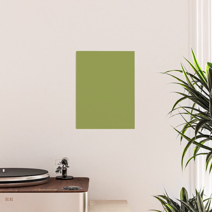 Olive Green Solid Color Poster Gallery Image 2