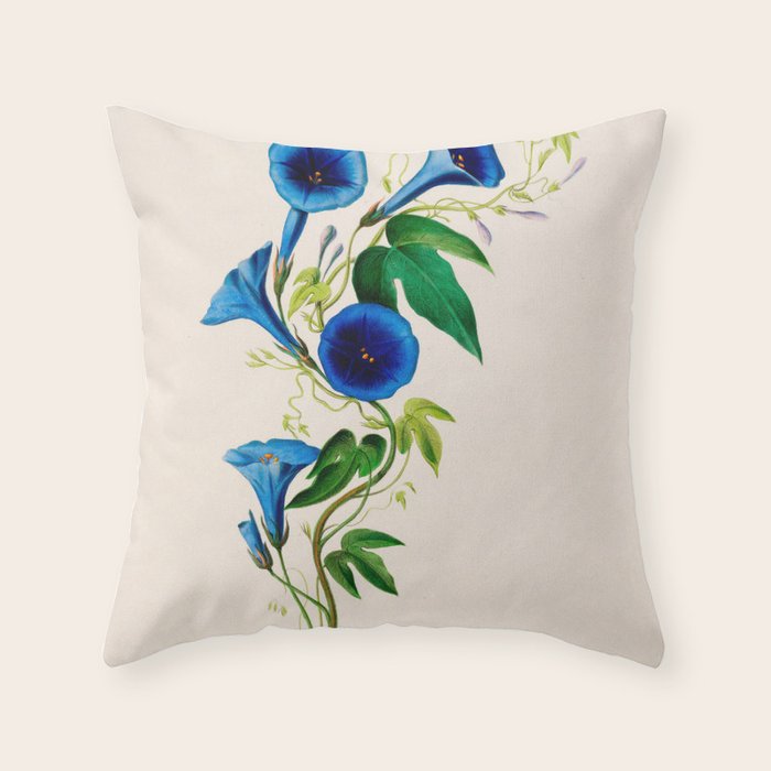 Celestine (blue bindweed) from "Flore dâAmÃ©rique" by Ãtienne Denisse, 1840s Throw Pillow Gallery Image 6