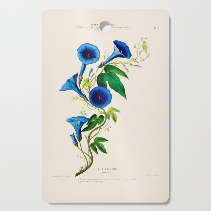 Celestine (blue bindweed) from "Flore dâAmÃ©rique" by Ãtienne Denisse, 1840s Cutting Board Gallery Image 1