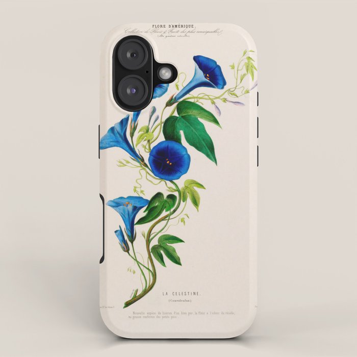 Celestine (blue bindweed) from "Flore dâAmÃ©rique" by Ãtienne Denisse, 1840s iPhone Case Gallery Image 1