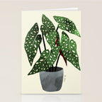 begonia maculata interior plant Stationery Card Gallery Image 2