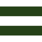 Large Dark Forest Green and White Cabana Tent Stripes Coffee Mug Gallery Image 2
