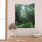 Redwood National Park- Pacific Northwest Nature Photography Wall Tapestry Gallery Image 2