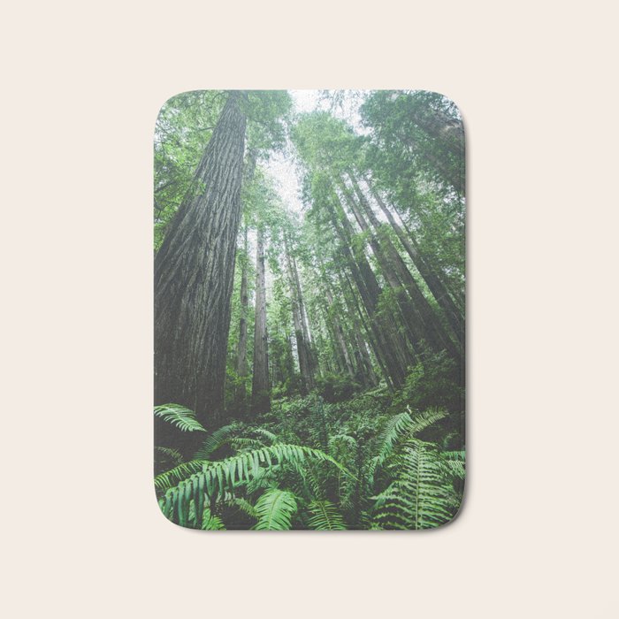 Redwood National Park- Pacific Northwest Nature Photography Bath Mat Gallery Image 1