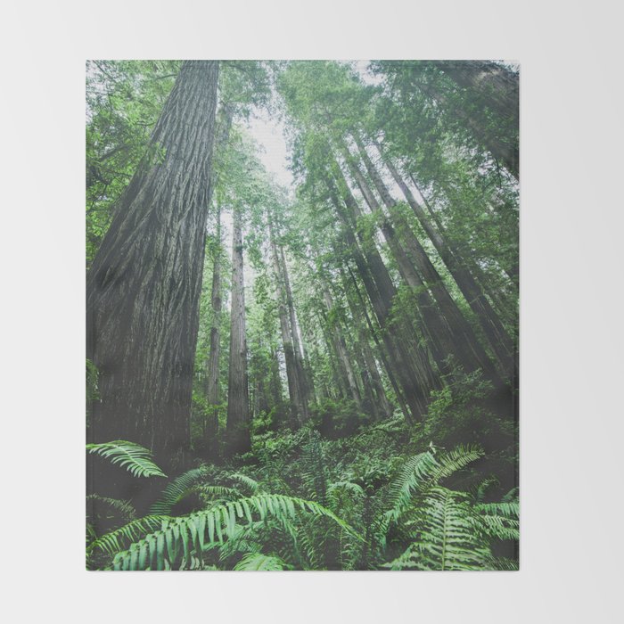 Redwood National Park- Pacific Northwest Nature Photography Throw Blanket Gallery Image 2