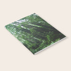 Redwood National Park- Pacific Northwest Nature Photography Notebook Gallery Image 2