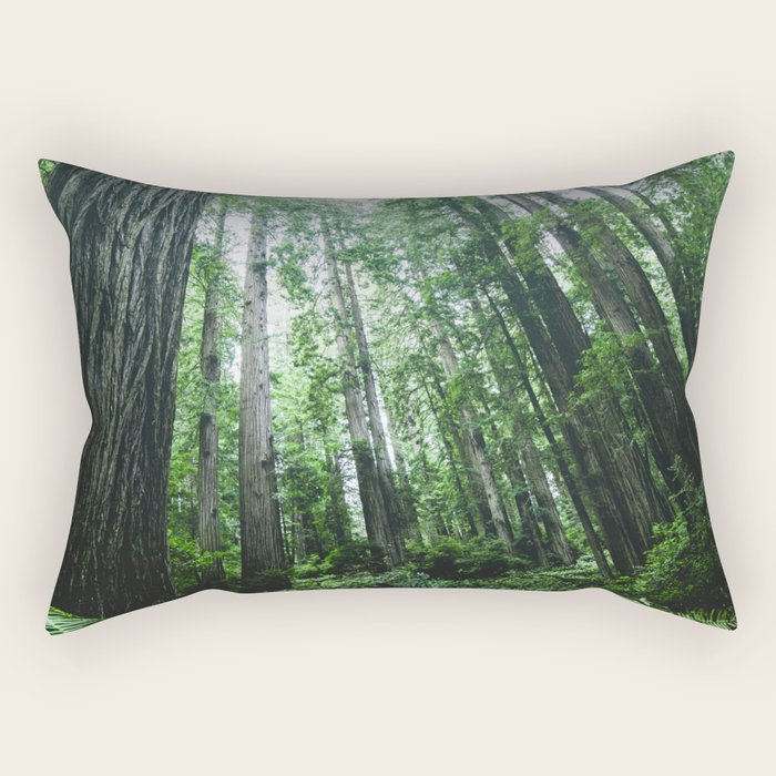 Redwood National Park- Pacific Northwest Nature Photography Rectangular Pillow Gallery Image 2
