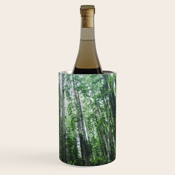 Redwood National Park- Pacific Northwest Nature Photography Wine Chiller Gallery Image 1