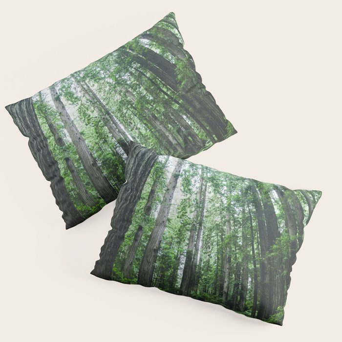 Redwood National Park- Pacific Northwest Nature Photography Pillow Sham Gallery Image 1